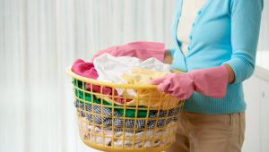 Maid Insurance Policy